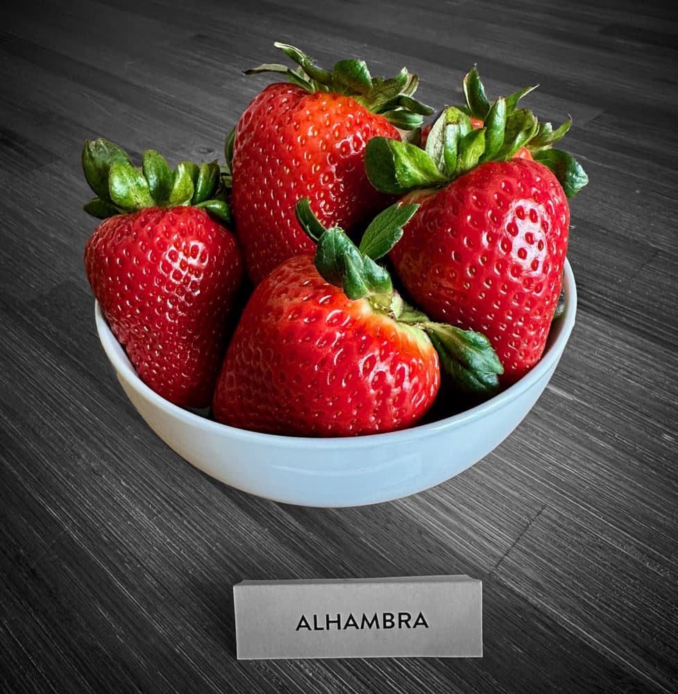 Alhambra fruit