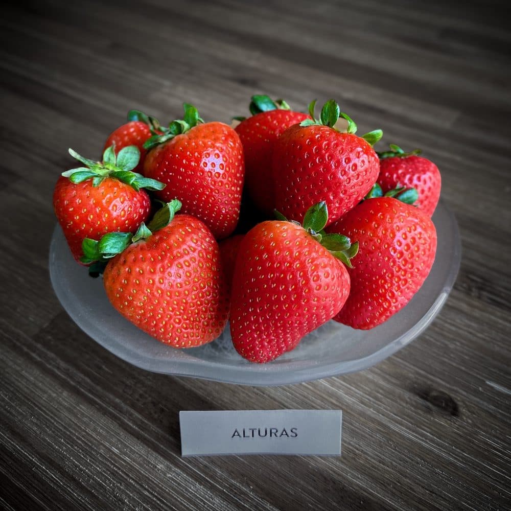 Alturas fruit