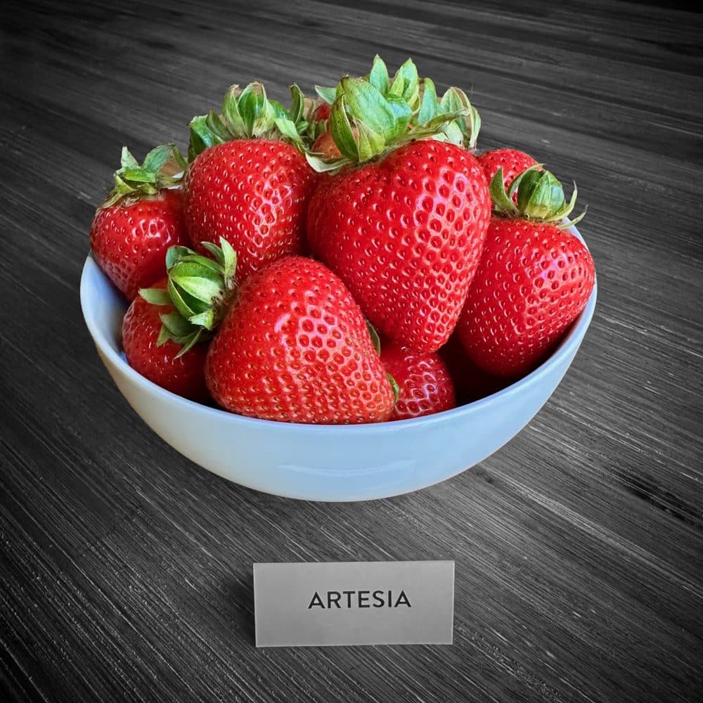 Artesia fruit