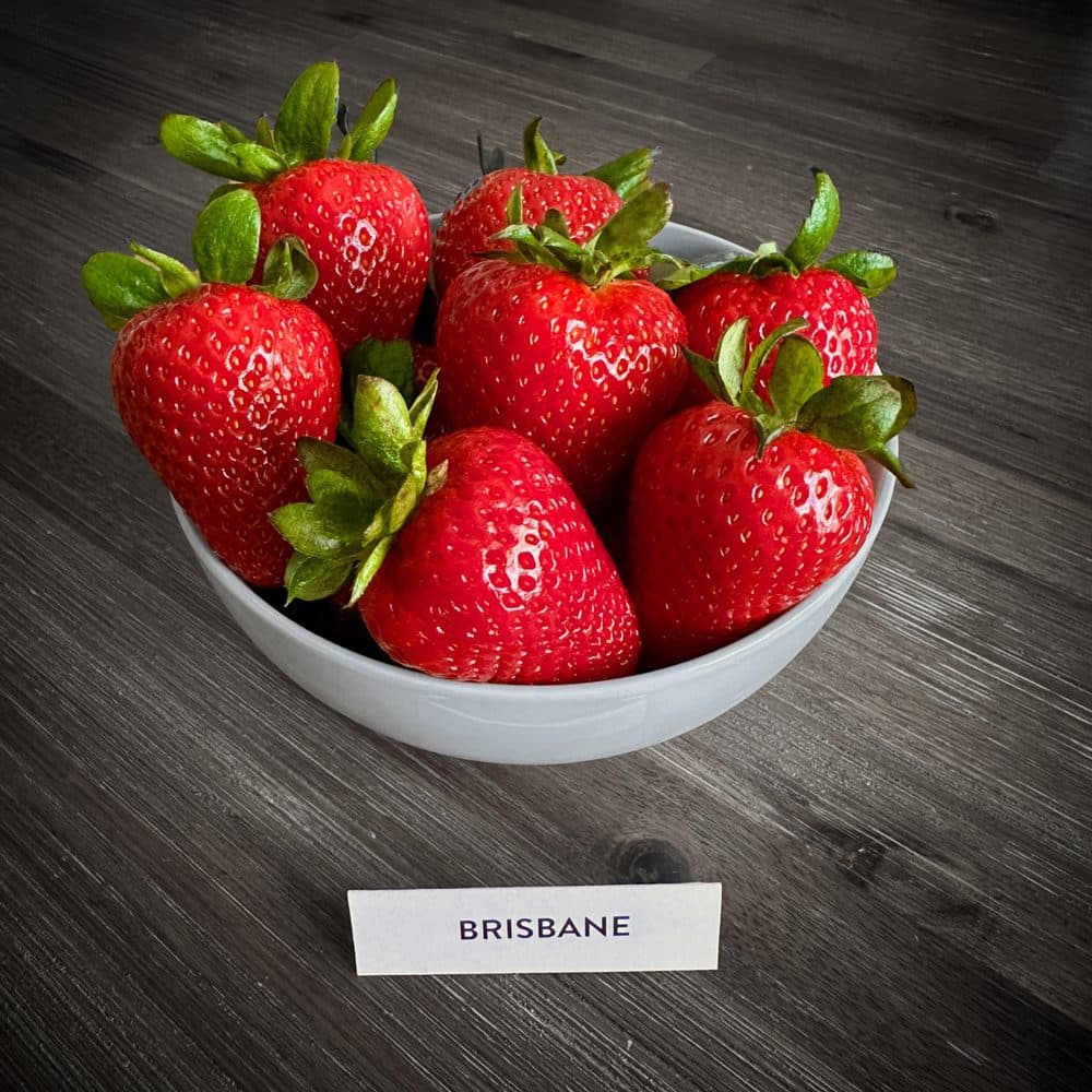 Brisbane fruit