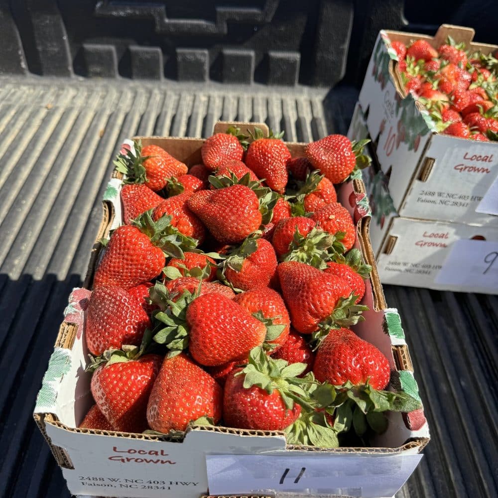 Sweet Carolina fruit
