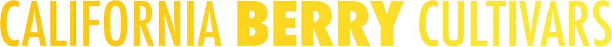 California Berry Cultivars